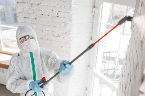 Best Emergency Mold Remediation  in Stagecoach, NV