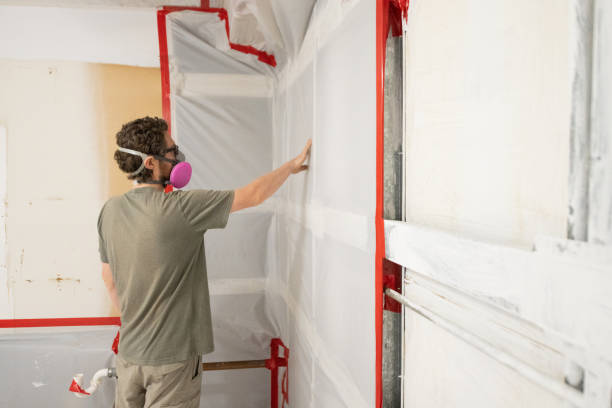 Best Attic Mold Removal  in Stagecoach, NV