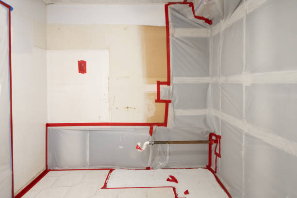 Best Residential Mold Inspection & Testing  in Stagecoach, NV