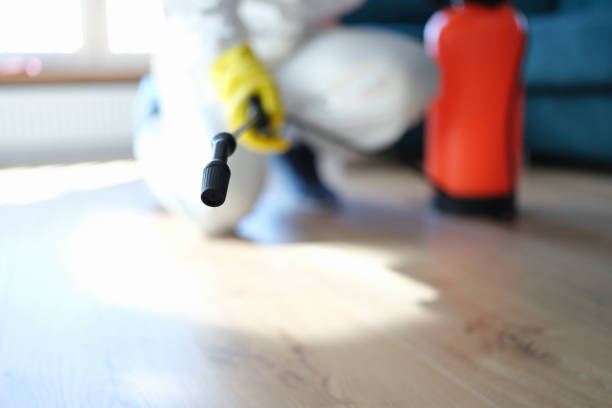 Best Real Estate Mold Inspection  in Stagecoach, NV
